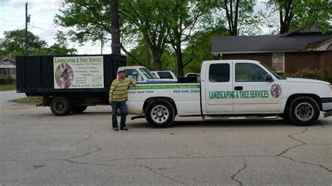 mario tree service and landscaping